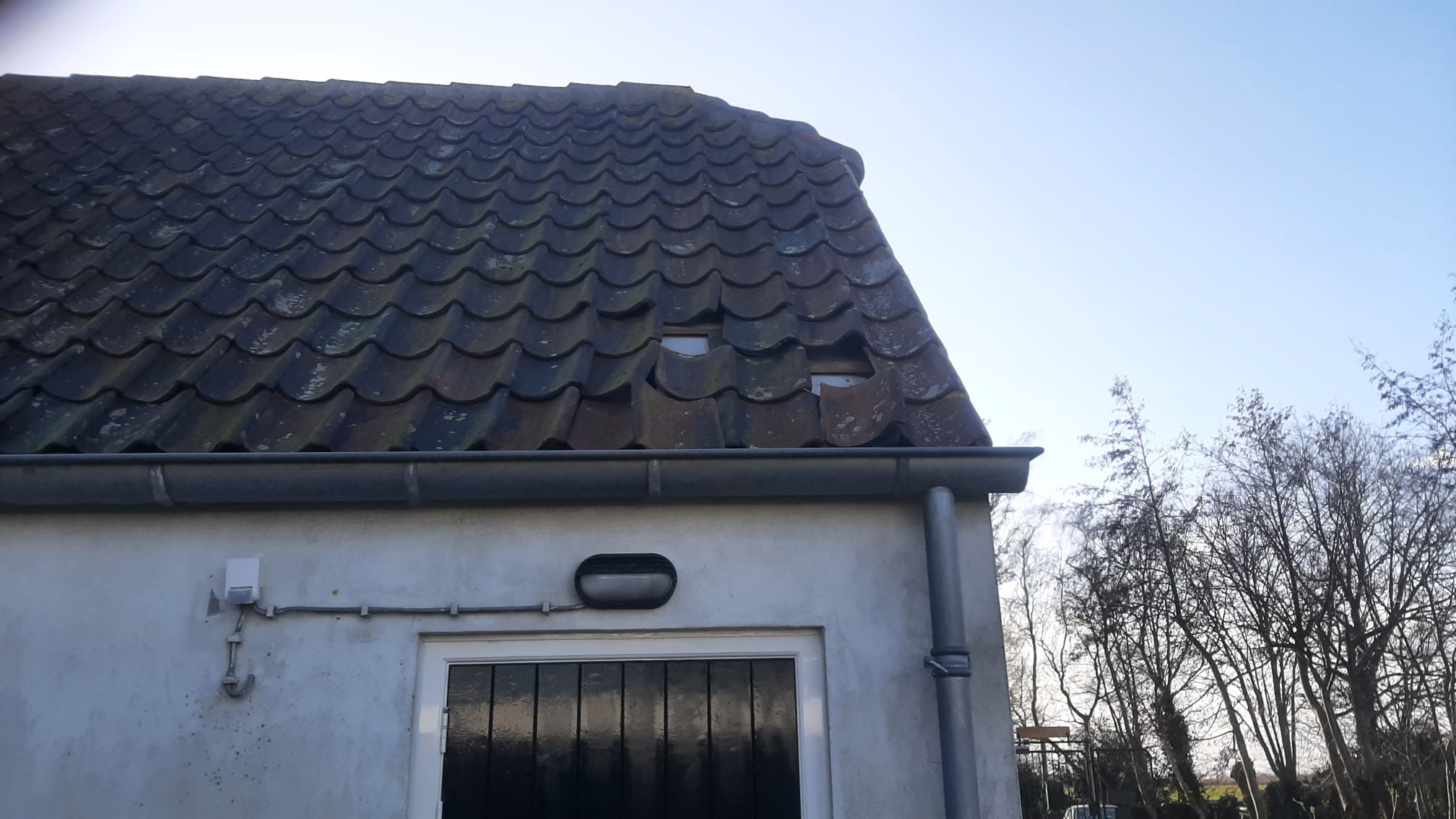 WhatsApp Image 2022 02 19 at 10.15.06 AM